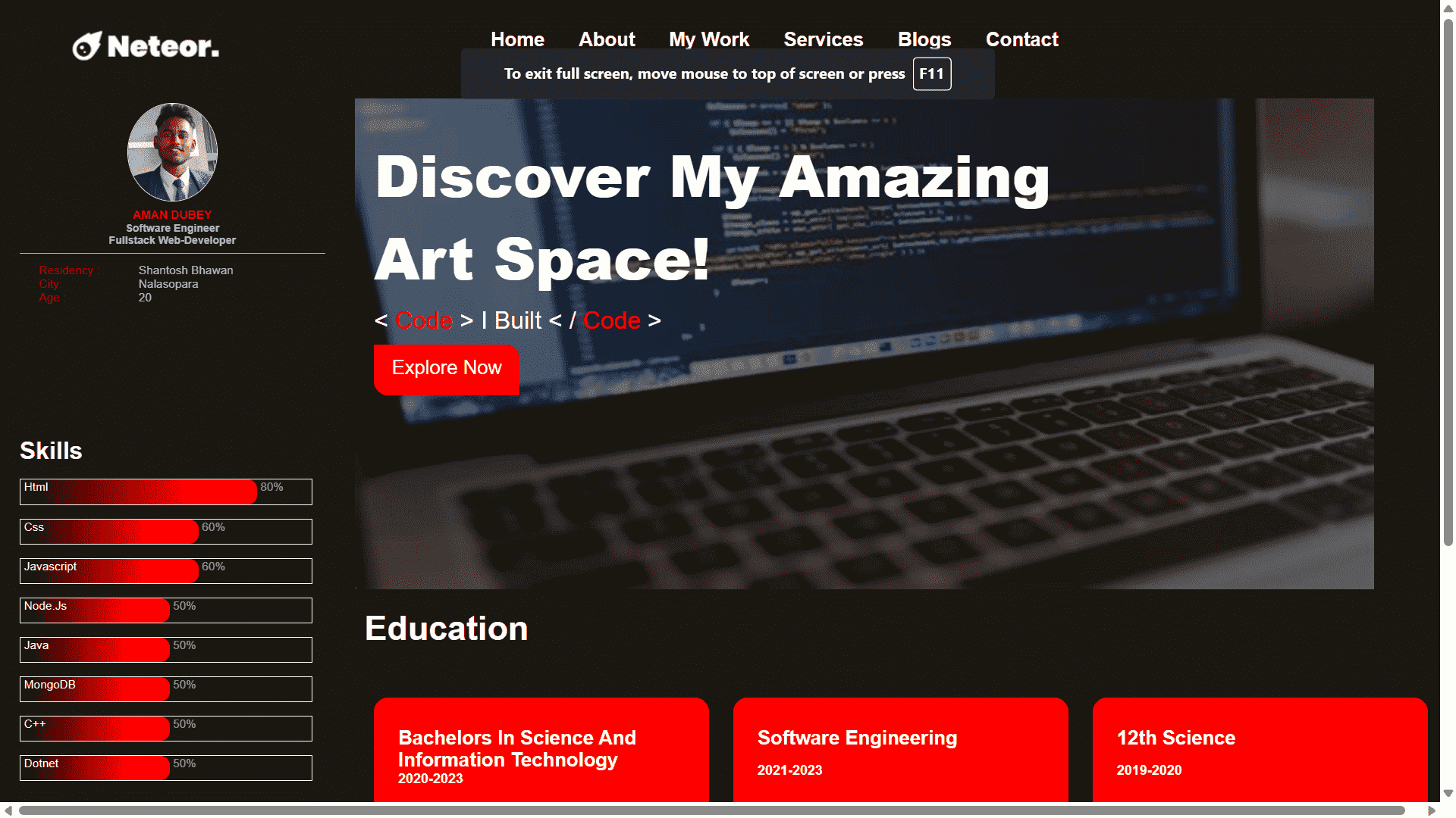 Showcase of Personal Portfolio (v1)